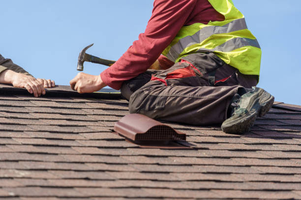 Best Gutter Installation and Roofing  in La Paloma, TX