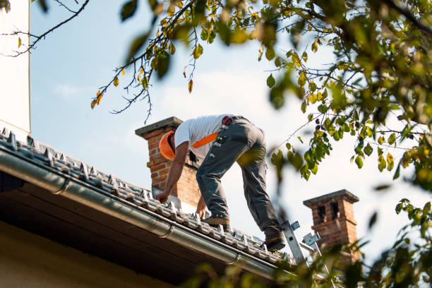 Best Residential Roofing Contractor  in La Paloma, TX