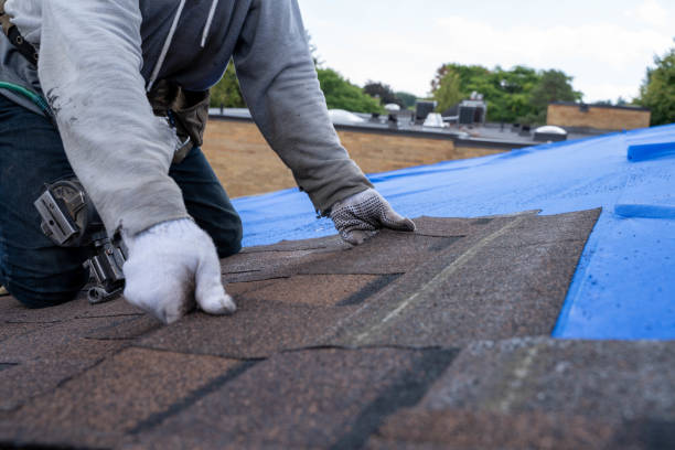 Best Best Roofing Contractors  in La Paloma, TX
