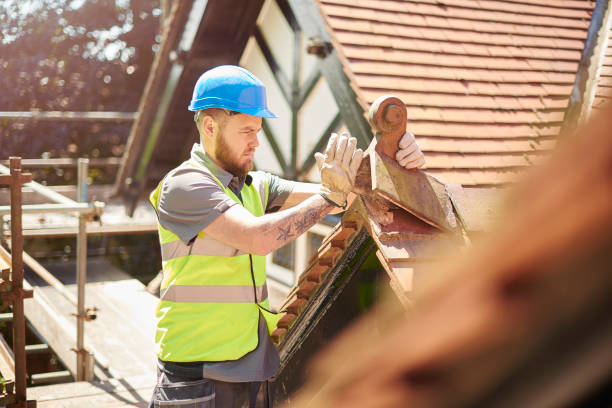 Best Metal Roofing Contractor  in La Paloma, TX