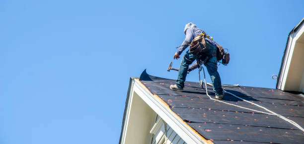Best Commercial Roofing Services  in La Paloma, TX